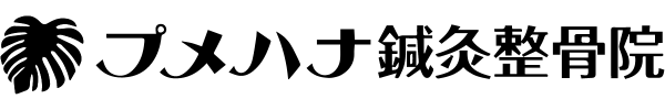 プメハナ鍼灸整骨院